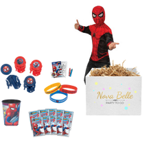Load image into Gallery viewer, Spidey Play Day To Go
